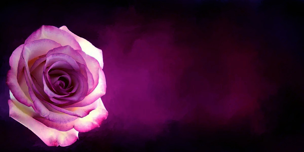 Ctrl+D收藏伊伊舞舍